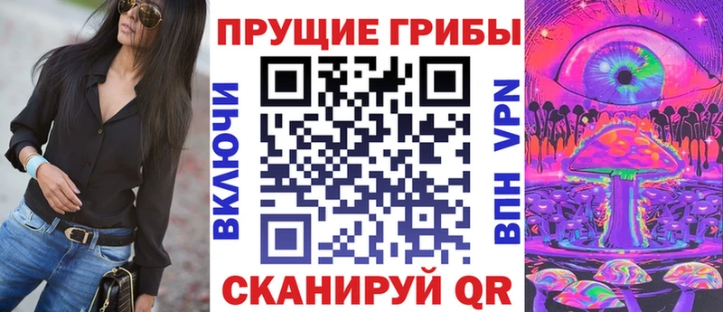 Купить  Сясьстрой  Галлюциногенные грибы ЛСД 