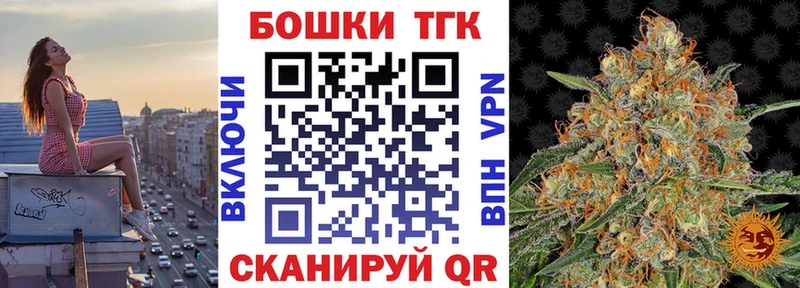 Купить закладки  Сясьстрой  Конопля планчик 